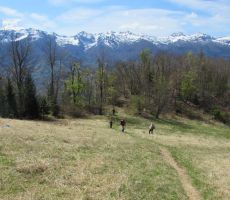 Bohinjsko hribovje s Črno prstjo in Rodico